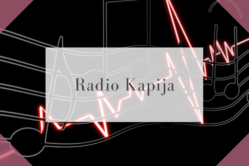 Android application radio kapija screenshort