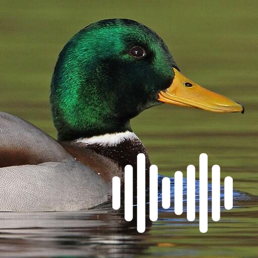Duck Hunting Calls - Apps on Google Play