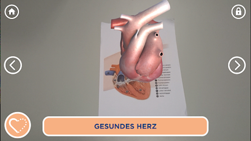 Vetmedin 3D Cardio Screen 2
