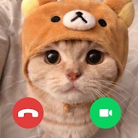 Cute Cat Video Call prank