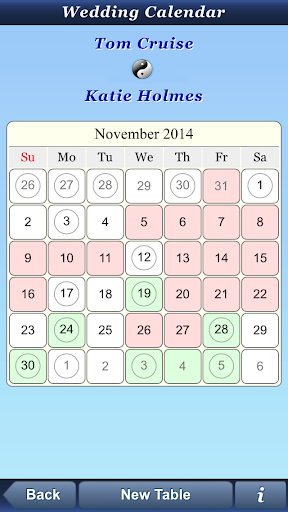Astrologer Screen 3