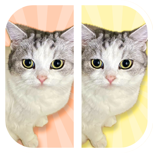 Cat Find Differences 1.0 Icon