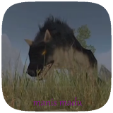 Best Wolf Online Simulator Tip icon