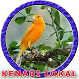 Master Kenari Lokal icon