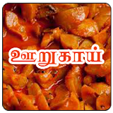Tamil Samayal Pickle icon