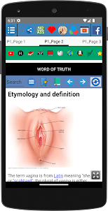 Vagina Anatomia