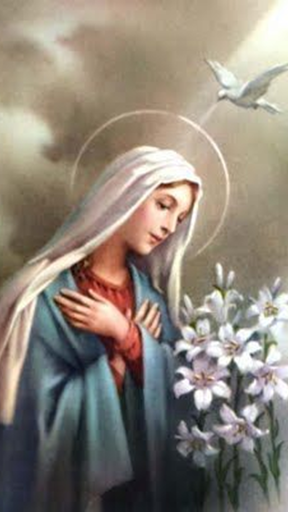 Android application Mary Mother Of Jesus Wallpaper screenshort