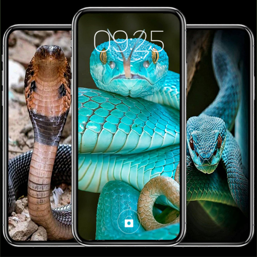 Snake Wallpapers HD logo