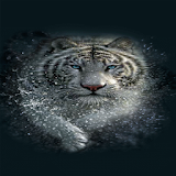 White Tiger Water LWP icon