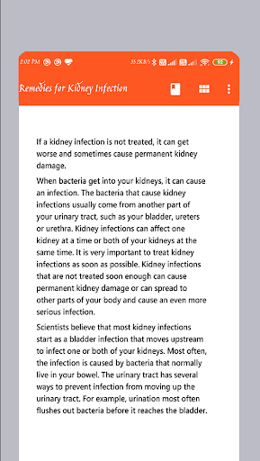 Remedies for Kidney Infection