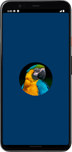 Macaw Bird Sounds