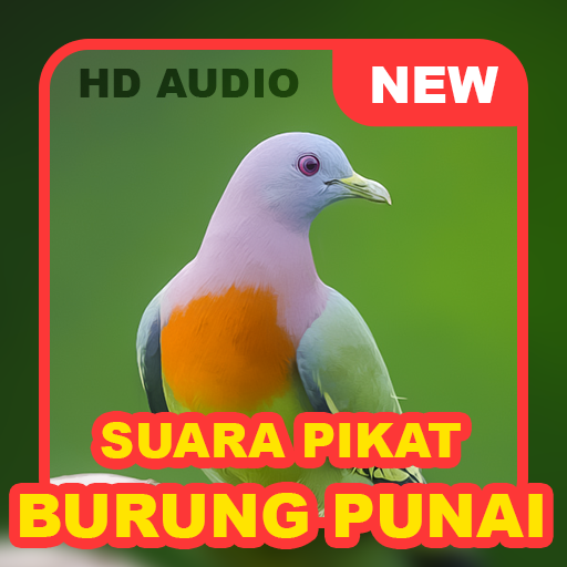 Android application Suara Punai: Green Pigeon screenshort