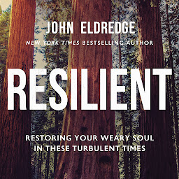 Icon image Resilient: Restoring Your Weary Soul in These Turbulent Times