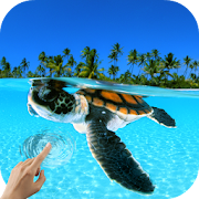 Turtle Underwater 3D Wallpaper  Icon