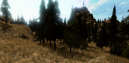 VR Forest Relaxation 3