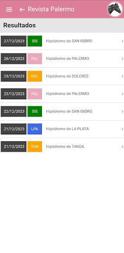 Revista Palermo Mini Screen 3