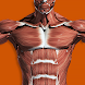 筋肉系3D（解剖学） - Androidアプリ