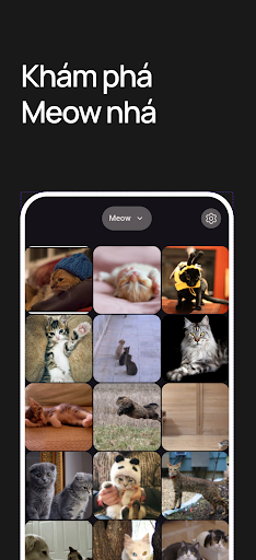 Meow App
