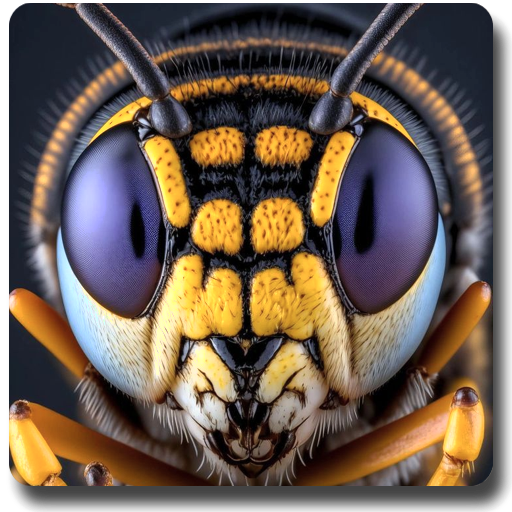 Insects Wallpapers 2024 logo