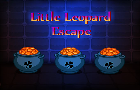 Little Leopard Escape