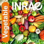 Cover Image of Скачать Vegetable  APK
