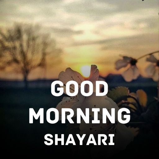 Good Morning Shayari Status Download on Windows