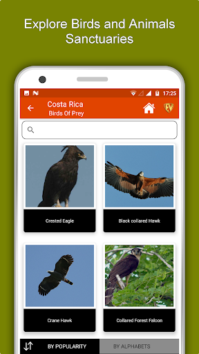 Costa Rica Travel and Explore O