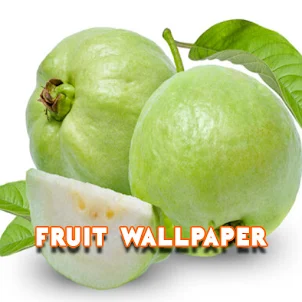 Guava Klutuk Wallpaper