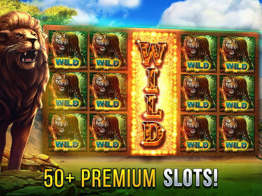 Cats Slot Machines 2.8.3913 screenshots 1