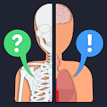 Cover Image of Download Anato Trivia - Quiz on Human Anatomy 3.2.4 APK