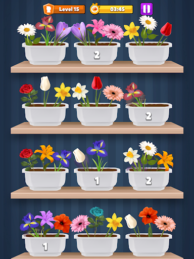 Blossom  Flower Match