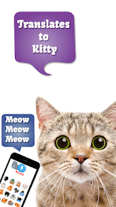 Cat Translate: Speak to Kitten