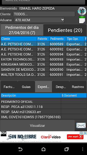 Consulta pedimentos SIPED Screen 2