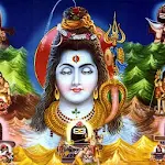 Cover Image of Download Shiv Bhajans  APK