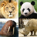 Cover Image of Tải xuống Động vật Quiz Tìm hiểu tất cả các loài động vật có vú 3.5.0 APK