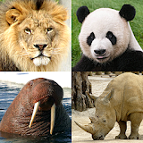 Animals Quiz Learn All Mammals icon