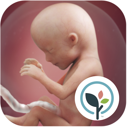 Pregnancy App & Baby Tracker 4.9.0 Icon