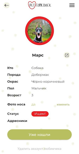 Petcomeback Screen 2