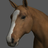 Horse Pose Tool 3D icon