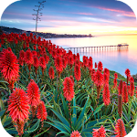 Cover Image of Download Scenery Wallpaper 1.08 APK