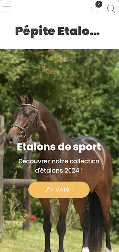 Android application Pepite Etalons screenshort