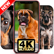 Top 30 Personalization Apps Like Dog Wallpaper ? Dog Pictures ? Dog Background ? - Best Alternatives