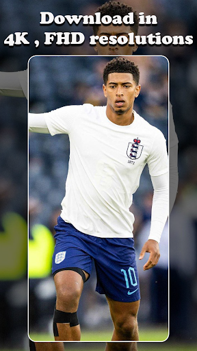 Bellingham Wallpaper HD 4K