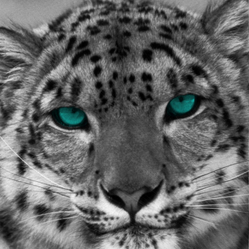 Snow Leopard Wallpapers Download on Windows