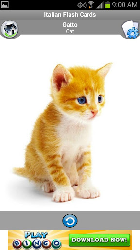 Italian Flashcards for Kids