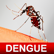 Dengue Fever Cure Home Remedies for Adults & Kids