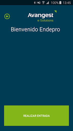 Avangest Control Horario Cloud Screen 2