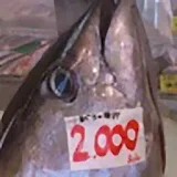 沖縄釣魚図鑑 icon