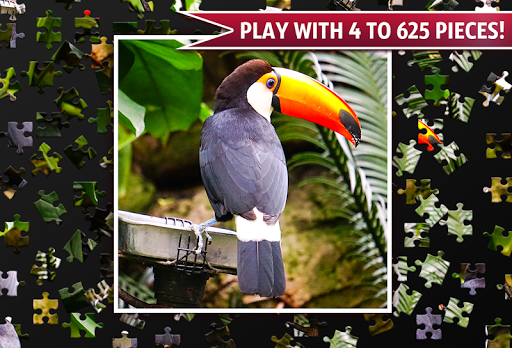 Jigsaw Puzzles  Pretty Puzzle