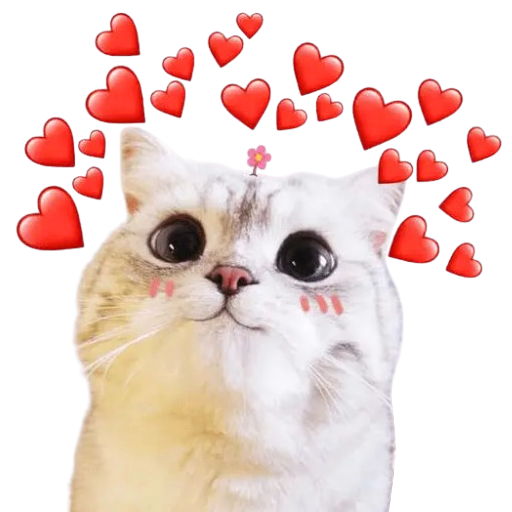 Love Cats Stickers - WASticker Download on Windows